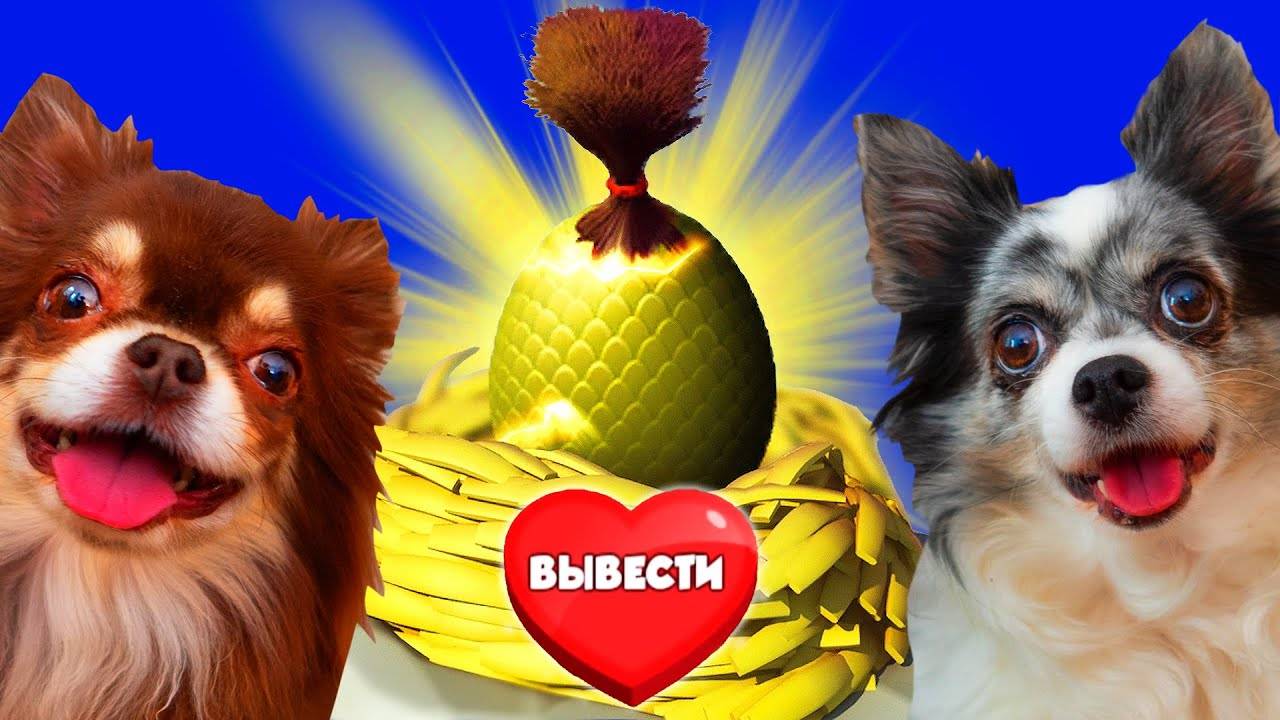Детский сад для питомцев! 24 часа в игре — челлендж! смотреть онлайн
