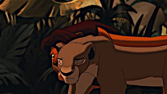 Симба как так можно?🥴 смотреть онлайн