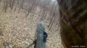 Охота с Hatsan 125th на фазана