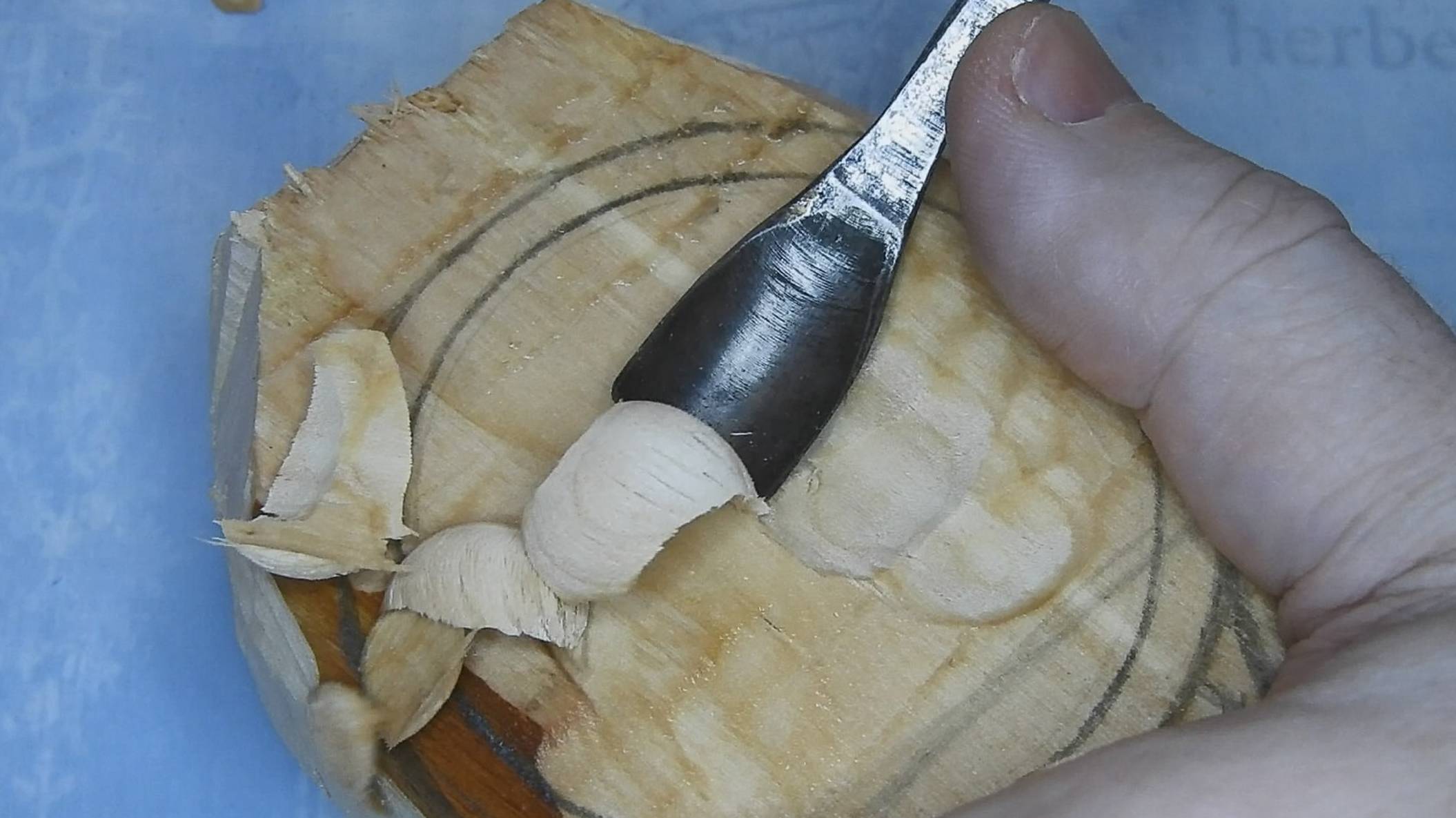 ЧАШКА ДЛЯ КОФЕ #2 / Kuksa From Salix Alba