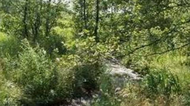 "Saa sig mig - " af Jeppe Aakjær, reciteret af Visemanden смотреть онлайн