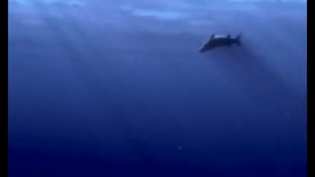 Finding Nemo Barracuda Normal, Fast and Slow Original Slow смотреть онлайн