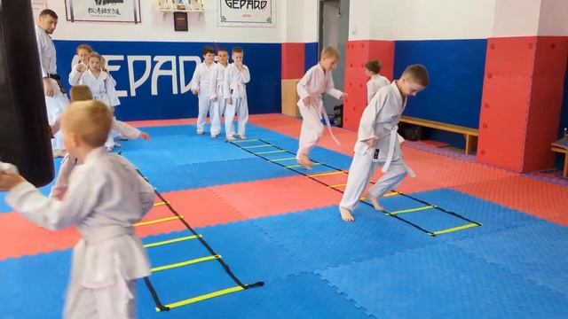 Karate training using ladders. Тренування використовуючи драбинку. смотреть онлайн