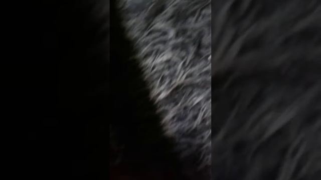 октябре 8 2014 года рождения смотреть онлайн