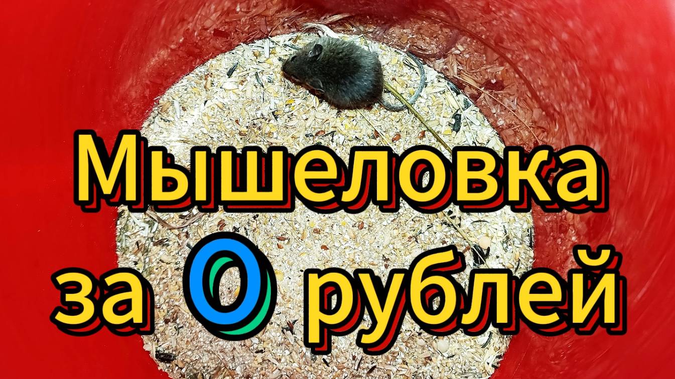 Мышеловка за 0 рублей смотреть онлайн