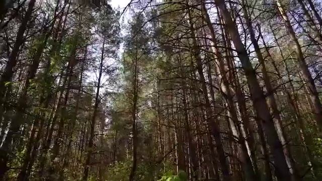 Клубный поселок "Петровский" смотреть онлайн