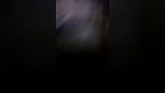 рой муравьёв смотреть онлайн