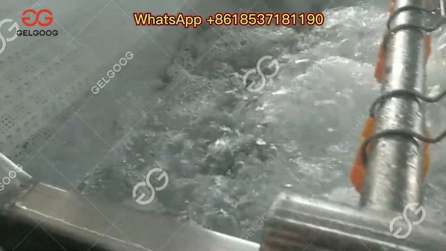 Bubble Washing Machine For Clam gala/almeja/corbicula смотреть онлайн