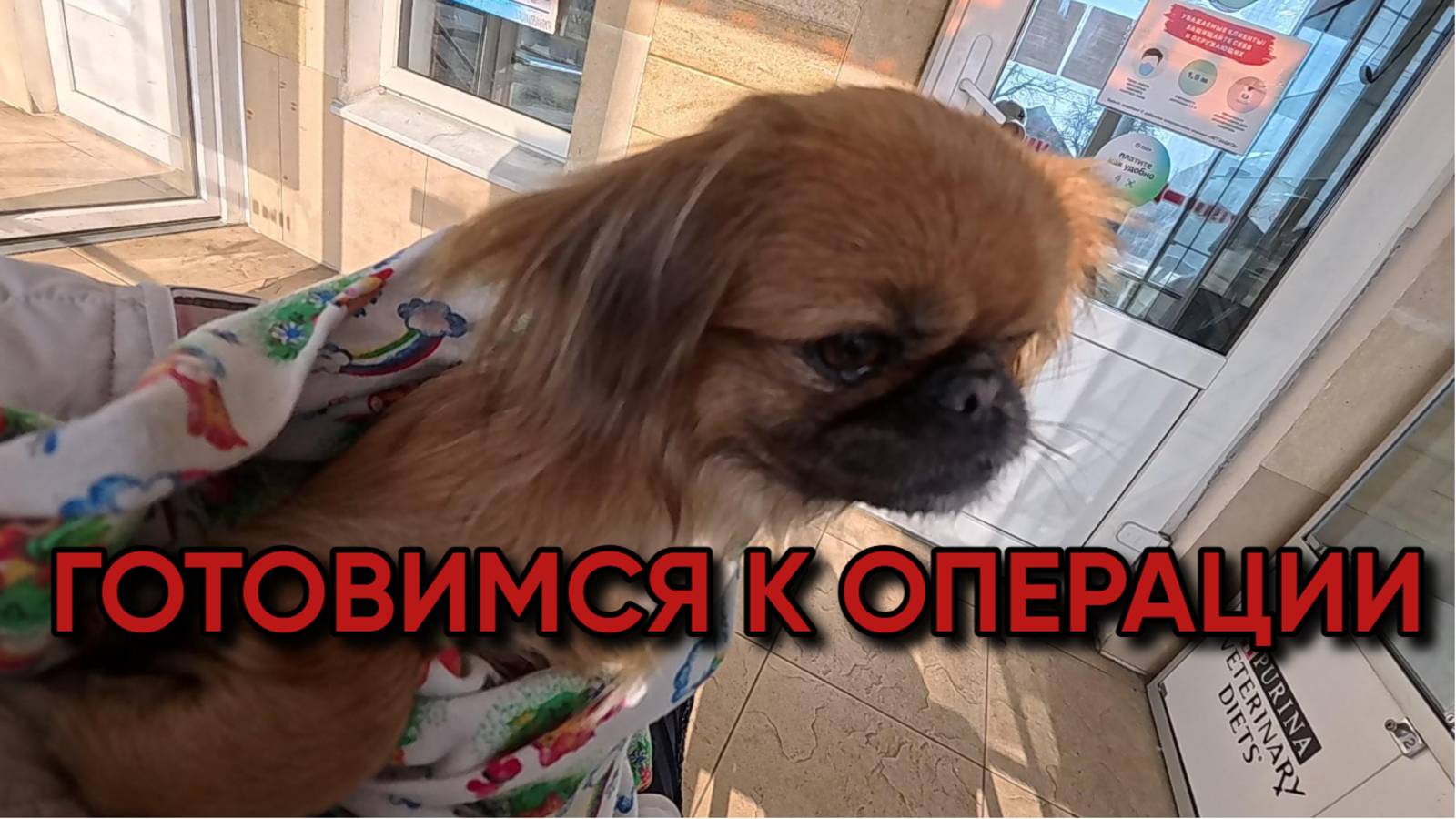 822 Наша повседневная жизнь на Кубани/Переехали с Урала на юг/Купили новый дом смотреть онлайн