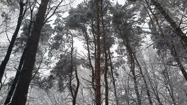 Необыкновенное 31 декабря смотреть онлайн