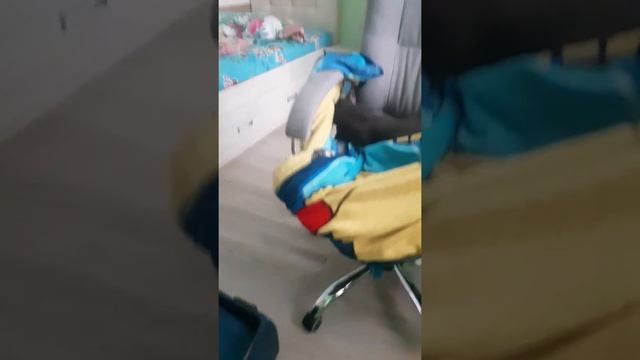 Как сделать Райское Место для котов. смотреть онлайн