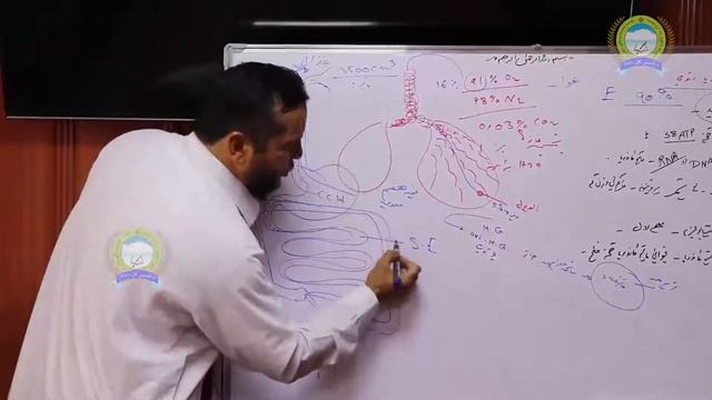 Lecture Mitochondria , Sharifullah Hemat смотреть онлайн