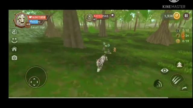 Getting my female tiger to level 150 - WildCraft смотреть онлайн
