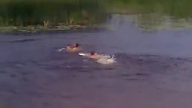 Спасает прикол )))) смотреть онлайн