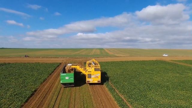 Ropa Tiger 5 / Fendt 824 / Joskin Drakkar : Arrachage betteraves 2016 смотреть онлайн