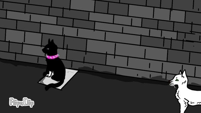 мап для кв рокси смотреть онлайн