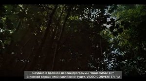 Вторая встреча с дубом ( из к/ф Сергея Бондарчука "Война и мир")