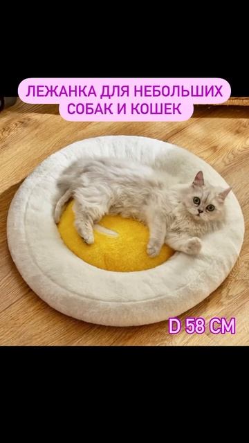 Какие они милые 😍 Москва, распродаем остатки магазина 🫶🏻 смотреть онлайн