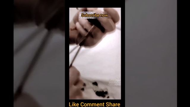 Remove botfly larve from 3 Tiny Bird, mangoworms смотреть онлайн