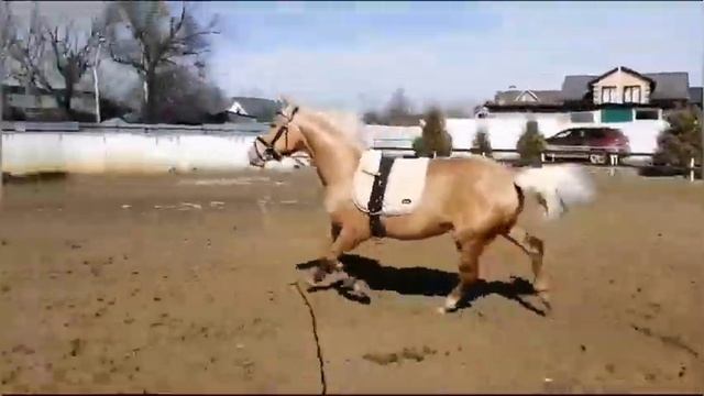 4 апреля 2024 г. смотреть онлайн