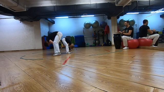 приветствия животных смотреть онлайн