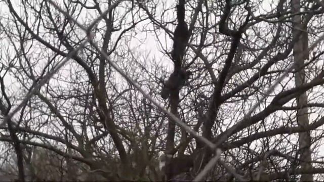 Мартовские грачи смотреть онлайн