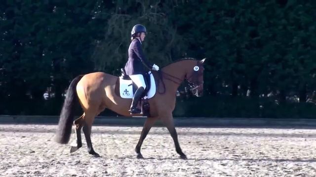Nicola Cooper & Classic Cupido - Winners of Addington High Profile Medium Open смотреть онлайн