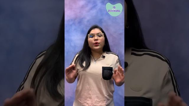 ¿Por qué algunos gatos no tienen pelo? смотреть онлайн