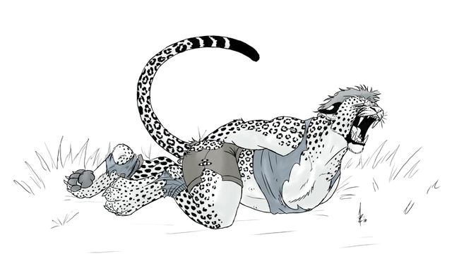 Leopard Transformation / Leopard TF смотреть онлайн