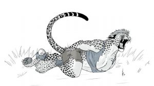 Leopard Transformation / Leopard TF