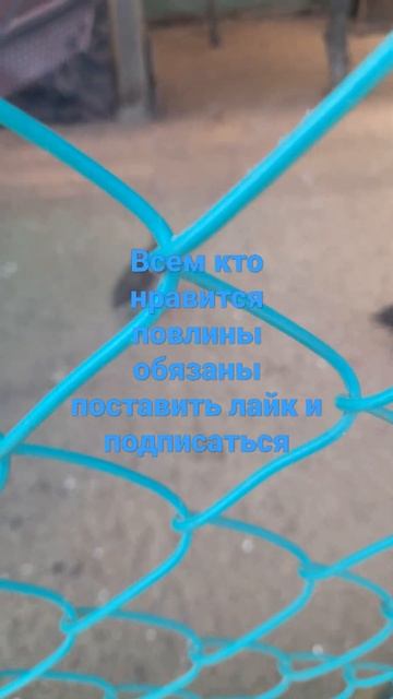 6 августа 2022 г. смотреть онлайн