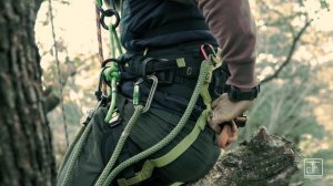 EDELRID TREEREX TRIPLE LOCK -  The versatile Tree-Climbing harness for Arborist