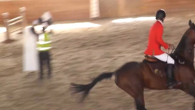 Корганбеков Нурмухаммед и Катара перепрыжка 110, Чемпионат РК 03.04.21 смотреть онлайн