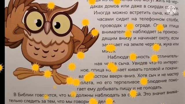 12 декабря. Наблюдательный сыч. смотреть онлайн