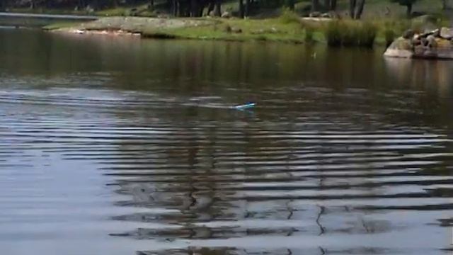 Flötmete efter karp - 15 år på Youtube смотреть онлайн