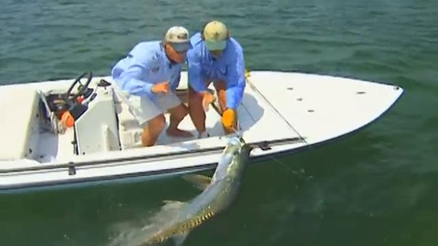 Fly Fishing Tarpon on the Flats of Marathon Florida Keys смотреть онлайн