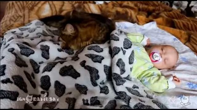 Cat lulling a baby / Кошка убаюкала ребенка смотреть онлайн