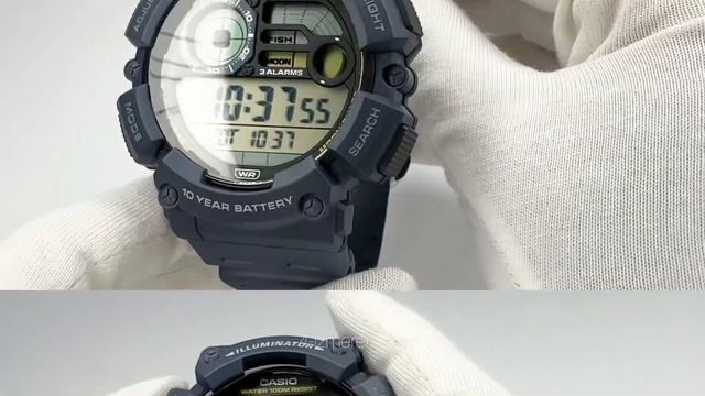 Обзор часов Casio Collection WS-1500H-2A
