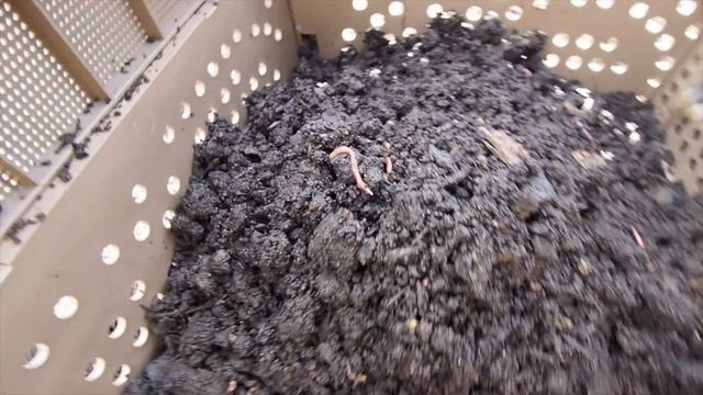 Subpod Worm Farm Build at Lake Cathie Community Garden (Maybe good for you too!) смотреть онлайн