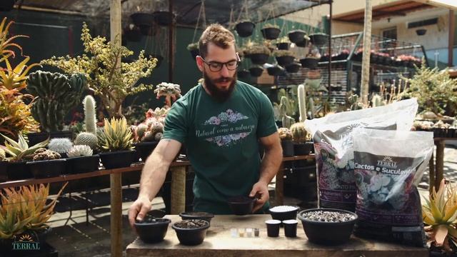 Tudo sobre Terral Cactos e Suculentas смотреть онлайн