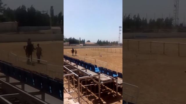 Маленькая наездница смотреть онлайн