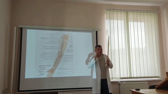 Артерії великого кола кровообігу смотреть онлайн