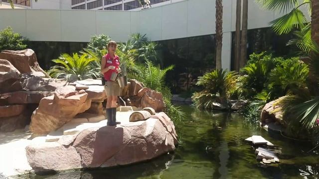 The Wildlife Habitat & Pelican Feeding at the Flamingo Las Vegas смотреть онлайн