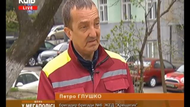 ПРОФЕСІЯ ДВІРНИК смотреть онлайн