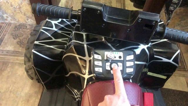 кошка тоже заинтересовалась этим чудом смотреть онлайн