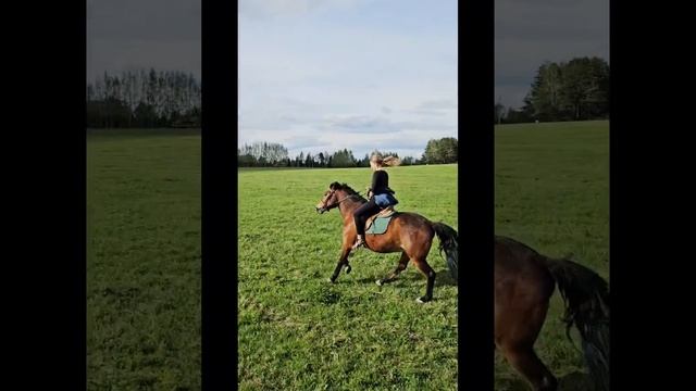 Дорогой предков. смотреть онлайн