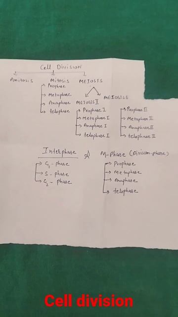 cell division just 15 second #neet2023 смотреть онлайн
