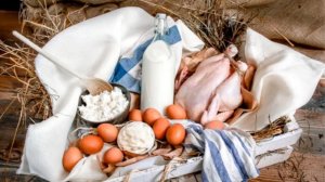 НА ЧЕМ ЗАРАБОТАТЬ В ДЕРЕВНЕ В 2025 году