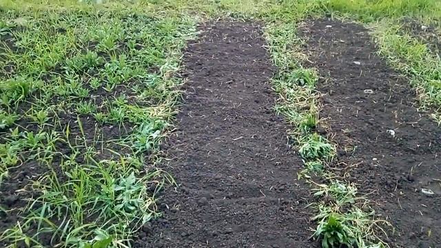 Закончила посадку семян//Гроза//Вечер// смотреть онлайн