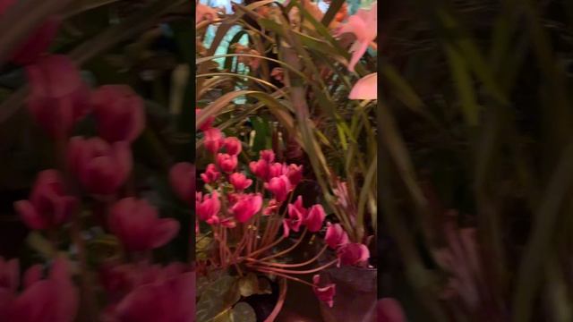 Copy_C4150501-CE73-4111-9625-E85D88D10F2D